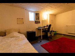 Photo n°4