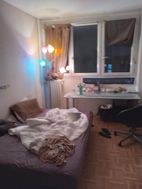 Photo n°2