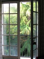 Photo n°3