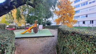 Photo n°6