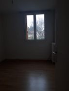Photo n°5