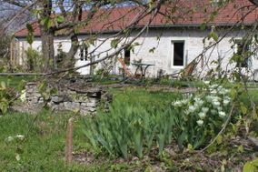 Photo n°2