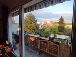 Photo n°5
