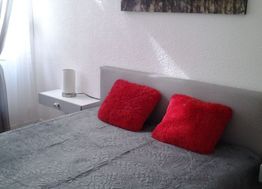 Photo n°4