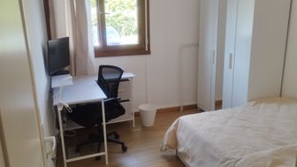 Photo n°8