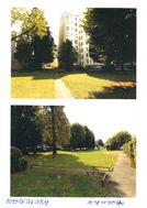 Photo n°1