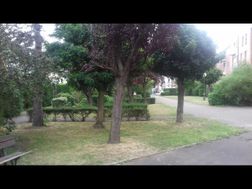 Photo n°4