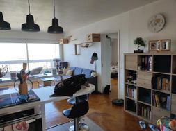Photo n°3