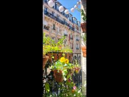 Photo n°6