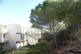 Photo n°1