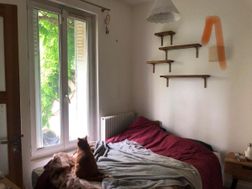 Photo n°9