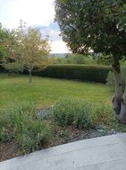 Photo n°6