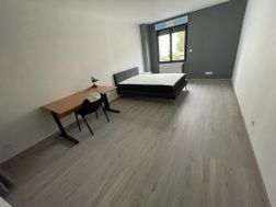 Photo n°2