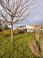 Photo n°6