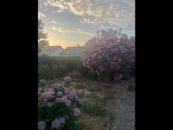 Photo n°1