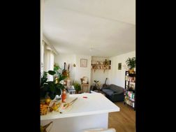 Photo n°3