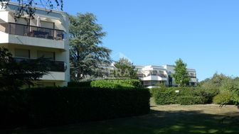 Photo n°1