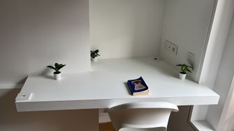 Photo n°5