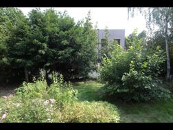 Photo n°15