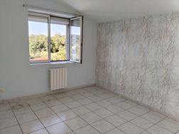 Photo n°4