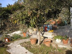 Photo n°2
