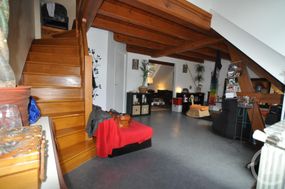 Photo n°5