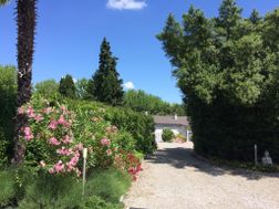 Photo n°2