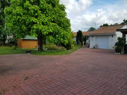 Photo n°1