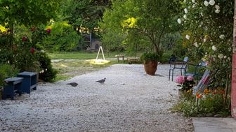 Photo n°3