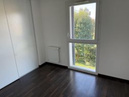 Photo n°6