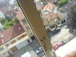 Photo n°7
