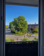 Photo n°6