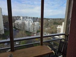 Photo n°6