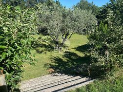 Photo n°2