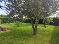 Photo n°6