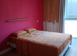 Photo n°4