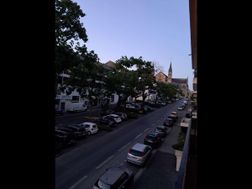Photo n°9