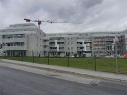 Photo n°5