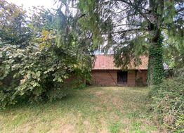 Photo n°6