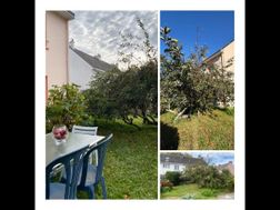 Photo n°2