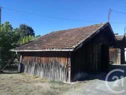 Photo n°4