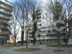 Photo n°2