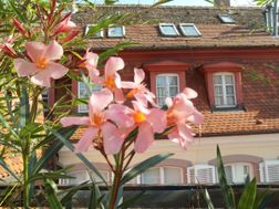 Photo n°1