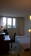 Photo n°6