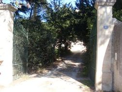 Photo n°3
