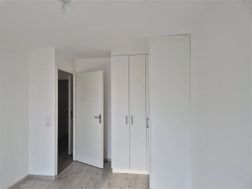 Photo n°7