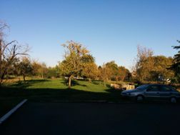 Photo n°1