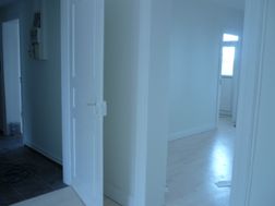Photo n°4