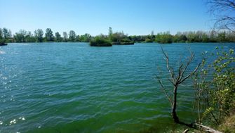 Photo n°9