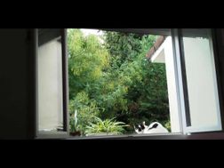 Photo n°4